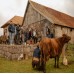 Experiência Guiada na Queijaria Campo Nativo