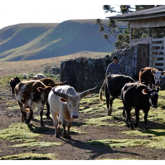 Experiência na Fazenda RIncão Comprido